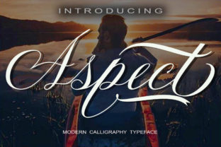 Aspect: The Bold Script Font for Campaigns