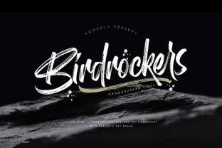 Birdrockers: A Bold Script Font for Modern Web Design