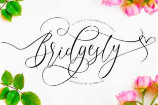 Bridgesty: A Romantic Script Font for Web Design