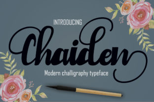 Chaiden Font: A Web Designer's Review